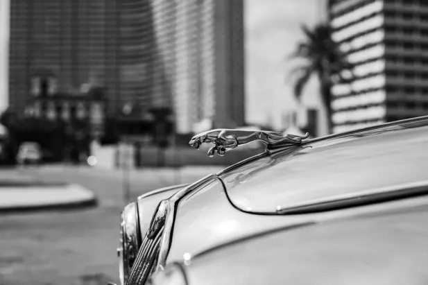 Casino Loyal Bet Android/iOS aplikacija